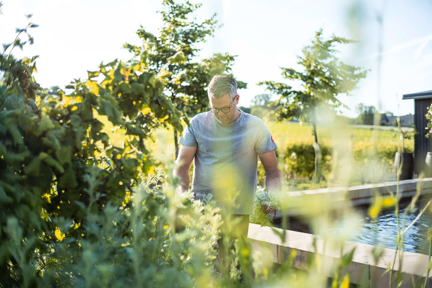 Junipaero Bio alkoholfreie Alternative Vorteilsbundle