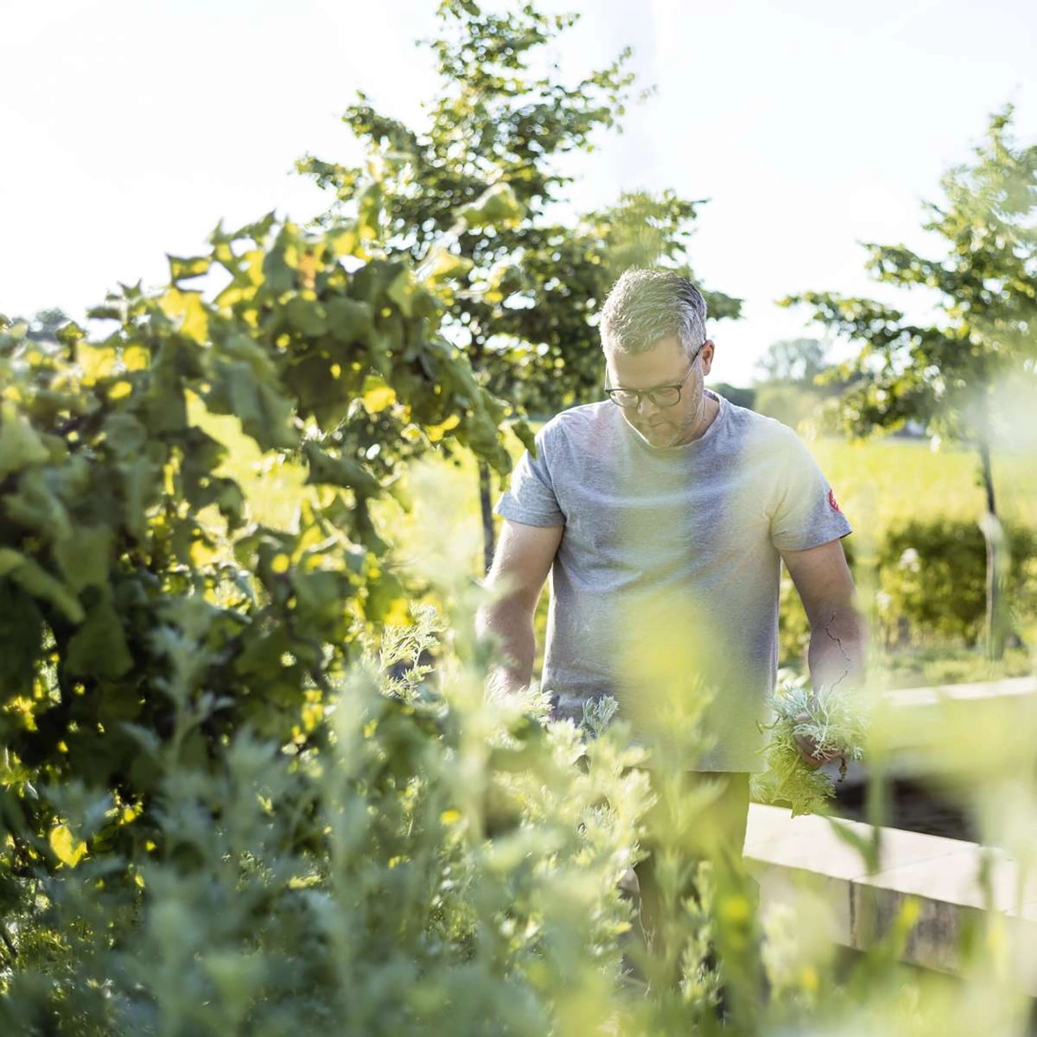 Junipaero Bio alkoholfreie Alternative