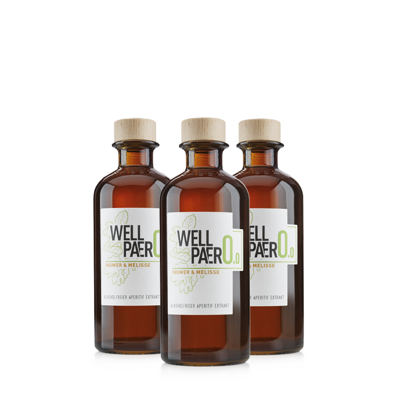 Wellpaero Ingwer & Melisse (Bio) Alkoholfreier Aperitif Vorteilsbundle