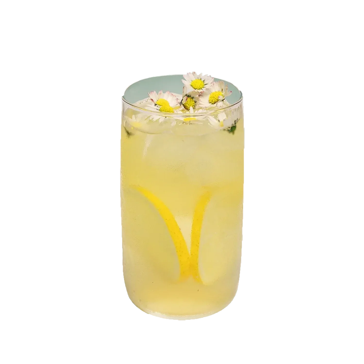 Lagerkorn Daisy